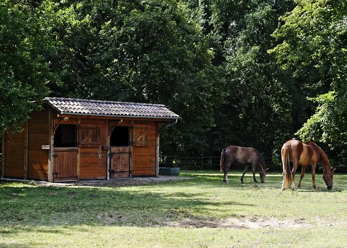 Chateau De L'isle - D'hotes Gasthuis Castelnau-de-Médoc